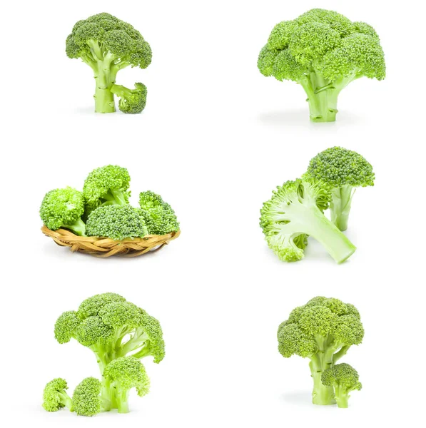 Collecte de chou brocoli isolé sur une découpe blanche — Photo