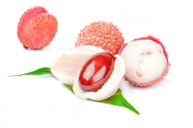 Lechwe beyaz bir arka plan üzerinde. Kırpma yolu