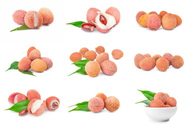 Beyaz leechee yakın çekim dizi