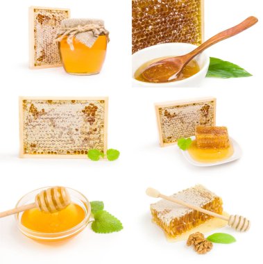 Beyaz arkaplanda izole edilmiş bir bal grubu