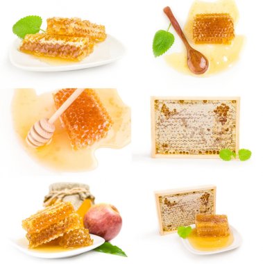 Bal arısı grubu beyaz arka planda izole edildi