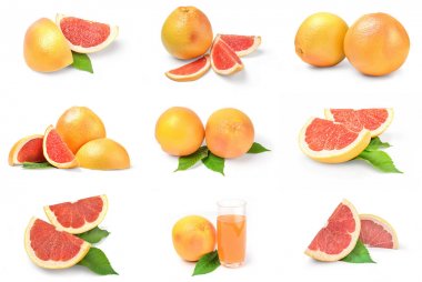 Greyfurt grubu beyaz arkaplan kesiminde izole edildi