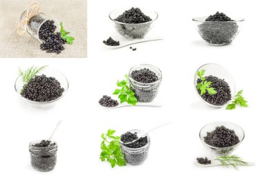 Siyah Karaca beyaz bir arka plan üzerinde izole kümesi