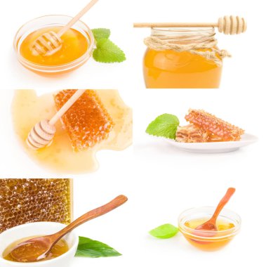 Bal arısı koleksiyonu beyaz arkaplan kesiminde izole edildi