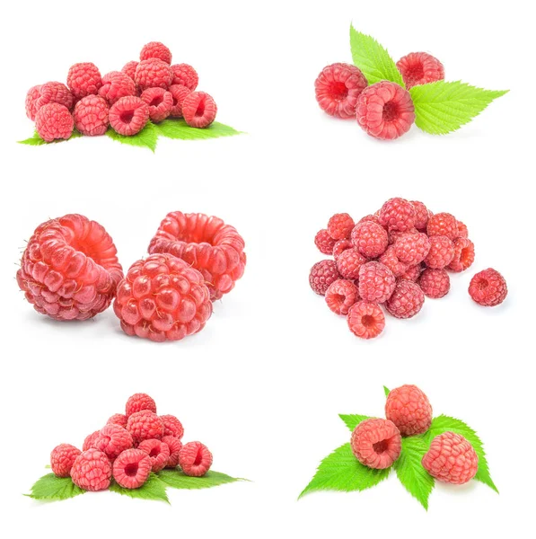 Set of rasp berry on a isolated white background — Stock Photo, Image