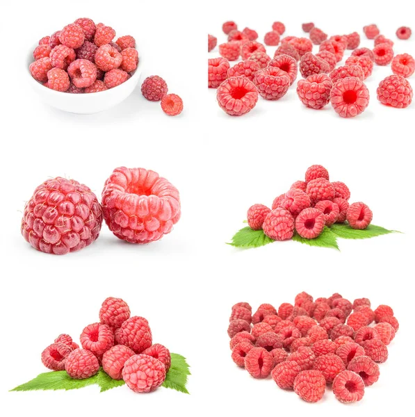 Collage of ripe red raspberries on white — Stock Photo, Image