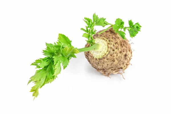 Apio fresco con hoja de raíz sobre fondo blanco —  Fotos de Stock