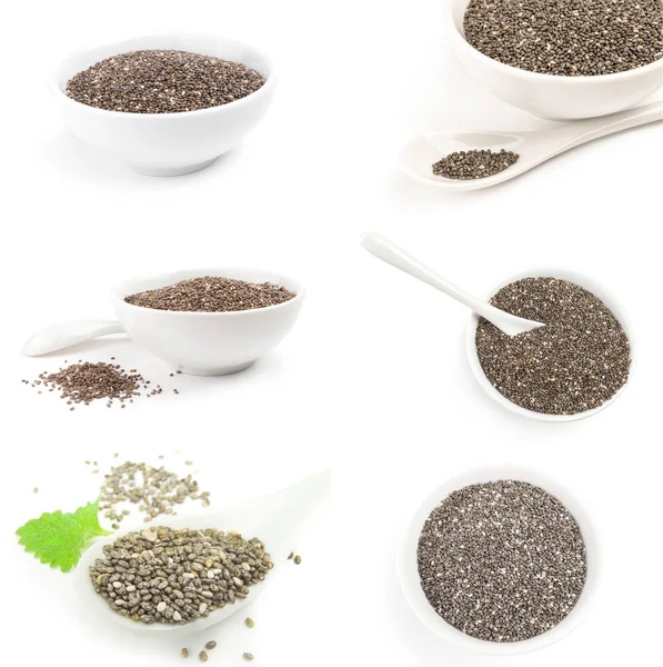 Coleção de sementes de chia sobre um fundo branco — Fotografia de Stock