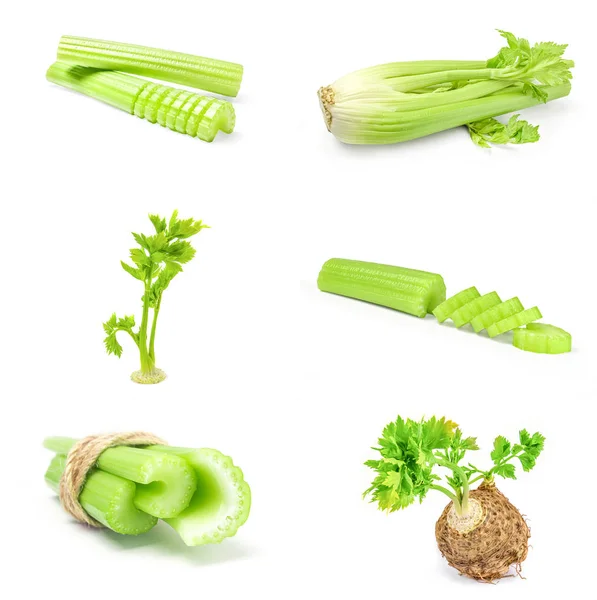Group of celery on a background — Stock Photo, Image