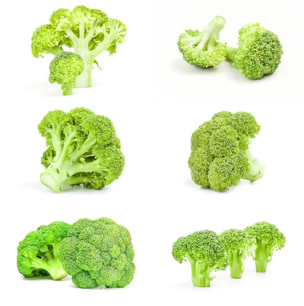 Taze brokoli başkanı beyaz bir arka plan ayarla — Stok fotoğraf