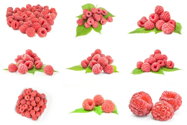 Набор Rasp ягоды изолированы на белом фоне с обрезкой пути — стоковое фото