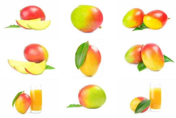 Verzameling van rode mango geïsoleerd op een witte achtergrond cutout — Stockfoto