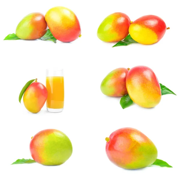 Collage di mango rosso isolato su fondo bianco — Foto Stock