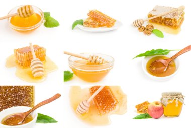 Bal arısı kolajı beyaz arkaplan kesiminde izole edildi