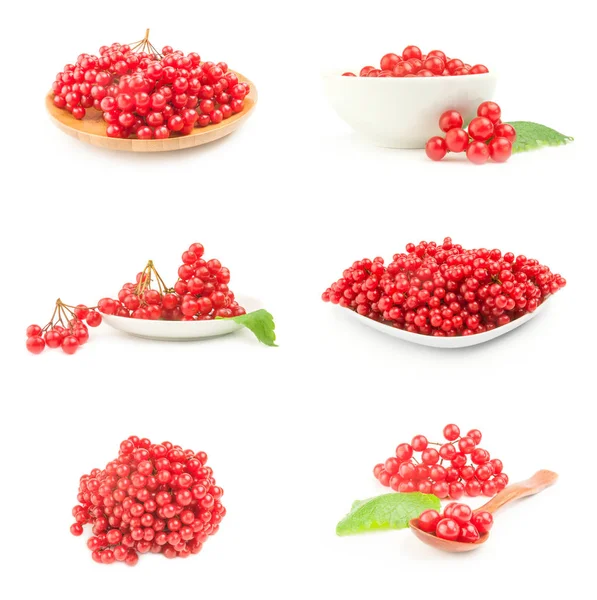 Set of bunches of red viburnum on a white background cutout — Stock Photo, Image