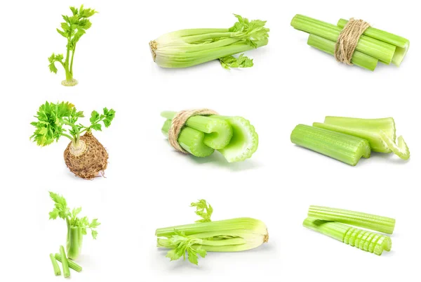 Group of celeriac — Stock Photo, Image