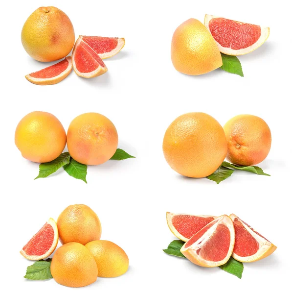 Колаж з грейпфрута ізольований на білому тлі — стокове фото