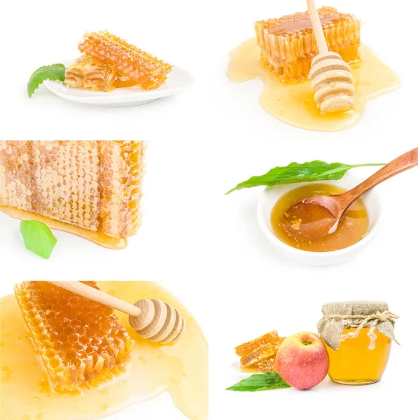 A méz csoport — Stock Fotó