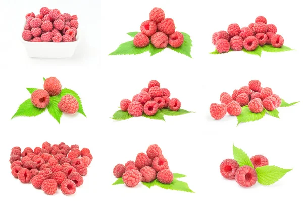 Collage of ripe raspberries on white — Stock Photo, Image
