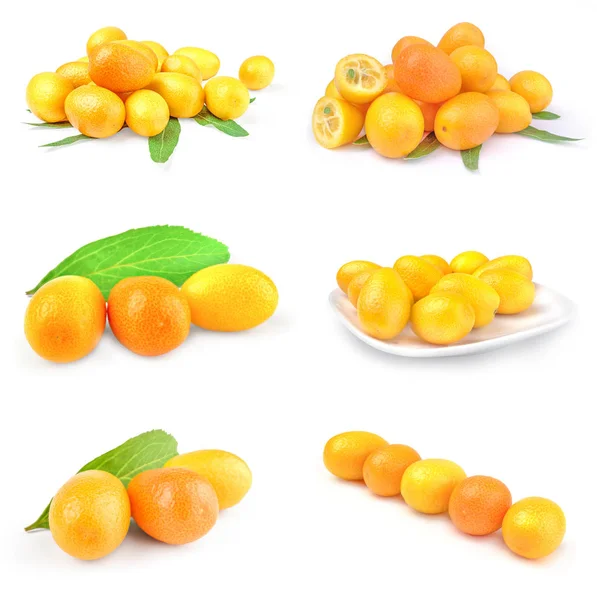 Collage de cumquats sur fond blanc — Photo