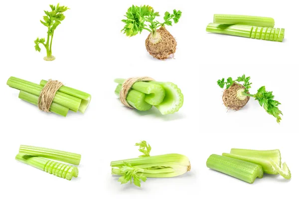 Collage of celeriac over a white background — Stok Foto