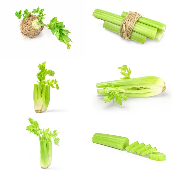 Koláž celeru na izolovaném bílém pozadí — Stock fotografie
