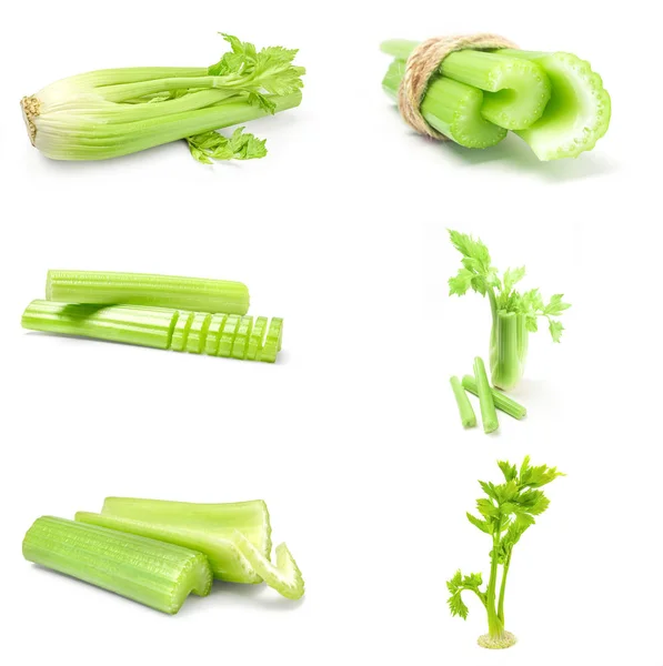 Koláž z celeru close-up izolovaných na bílém pozadí — Stock fotografie