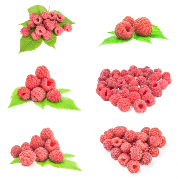 Set of rasp berry isolated on a white cutout — Stock Photo, Image