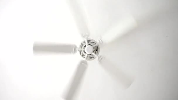 Rotation Of Ceiling Fan