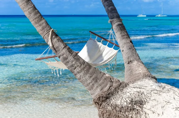 Hammock between palm trees and the sea — Stock Photo, Image