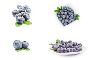 Huckleberry kolaj