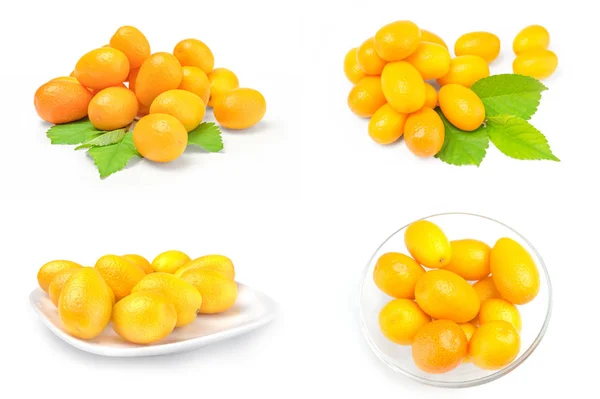 Cumquats gyűjteménye — Stock Fotó