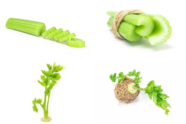 Set of celery isolated on a white background cutout — Stock Photo, Image