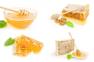 Bal beyaz üzerine kolaj