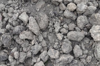 Kümeleri toprak kuru. Arka plan