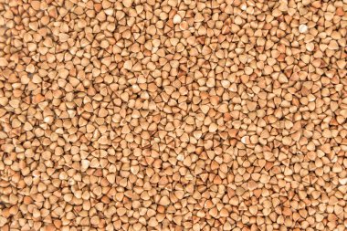 Buğday taneleri. İçin arka plan dokusu.