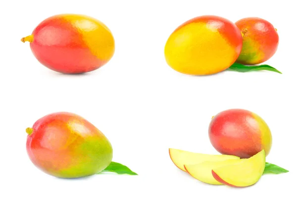 Aantal rode mango — Stockfoto