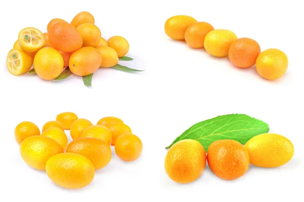 Колаж з kumquats — стокове фото