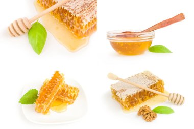 Bal arısı izole beyaz zemin üzerine kolaj