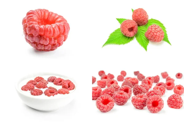 Set raspberry matang terisolasi pada potongan latar belakang putih — Stok Foto