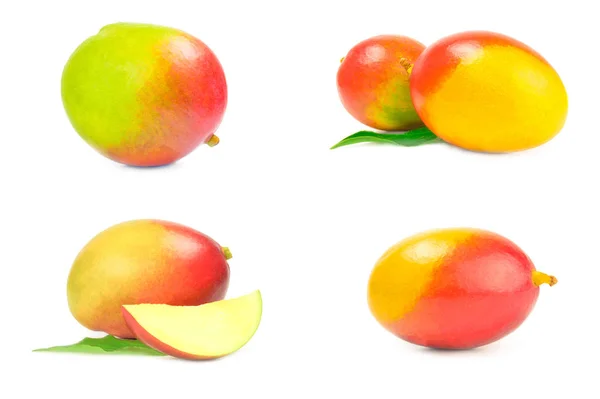 Samling av röda mango på en vit bakgrund urklippsbana — Stockfoto