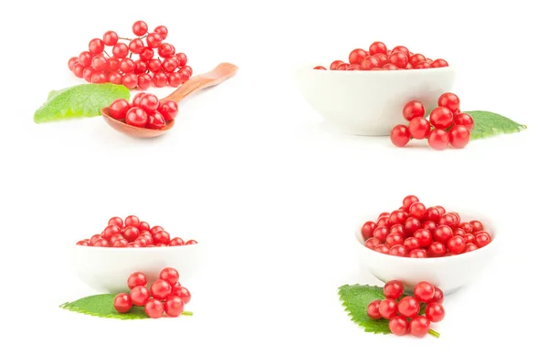 Коллаж ягод Пимбины на белом фоне — стоковое фото