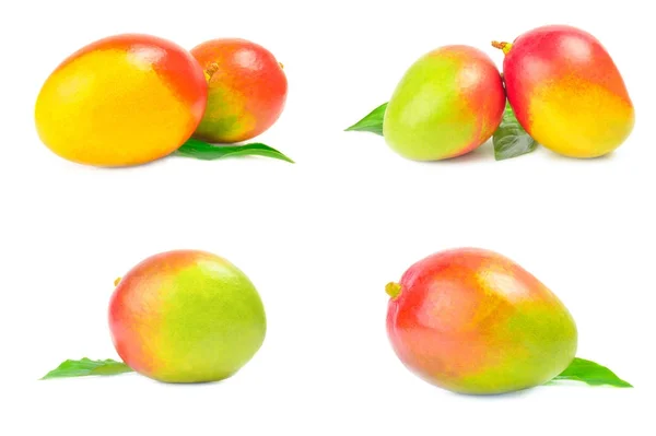 Gruppe roter Mango isoliert auf weißem Hintergrund Ausschnitt — Stockfoto