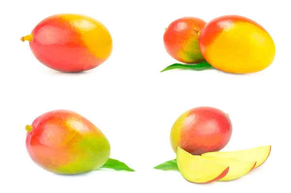 Collage av mango röd isolerad på en vit bakgrund cutout — Stockfoto