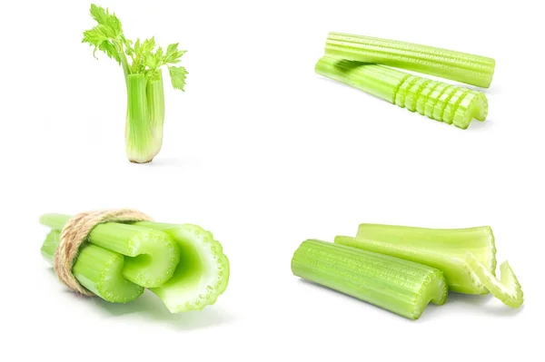 Koleksi dari celeriac diisolasi pada potongan latar belakang putih — Stok Foto