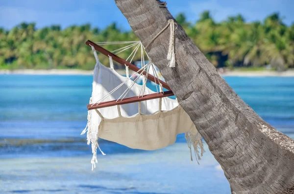 Romántica hamaca acogedora a la sombra de la palma en la playa tropical junto al mar —  Fotos de Stock