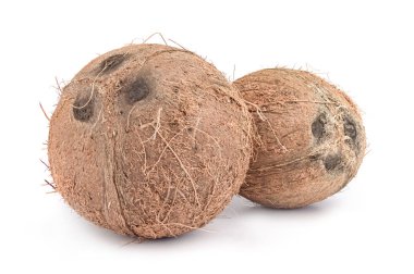 Bir beyaz arka plan kesme Hindistan cevizi