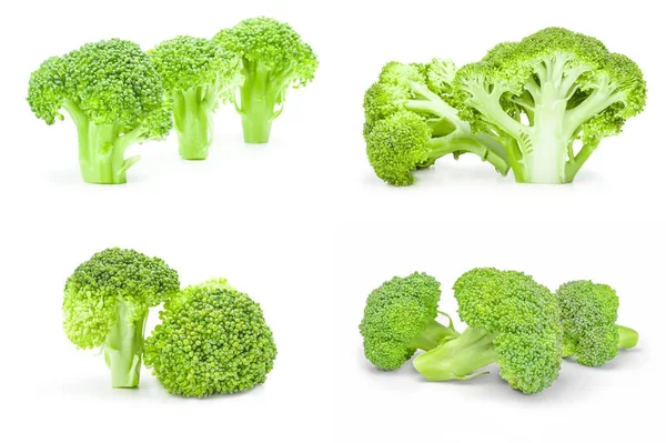 Set van verse kop van broccoli geïsoleerd op een witte achtergrond met clipping pad — Stockfoto