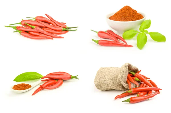 Collage de pimientos rojos ardientes aislados sobre un recorte de fondo blanco — Foto de Stock