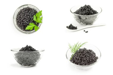 Mersin balığı Roe bir arka plan üzerinde grup